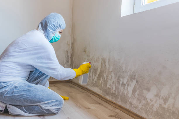 Hvac And Air Duct Mold Remediation inspection of HVAC system in Haddon Heights