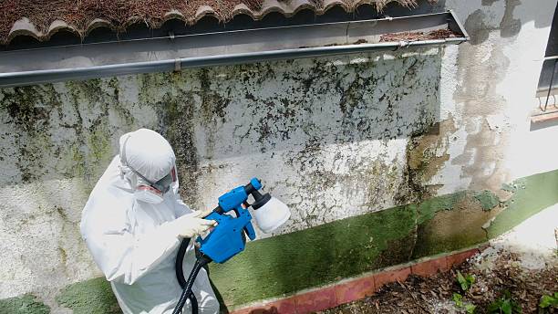 Mold Remediation service in Haddon Heights, Haddon Heights, NJ